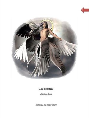 cover image of La via dei miracoli